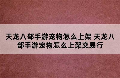 天龙八部手游宠物怎么上架 天龙八部手游宠物怎么上架交易行